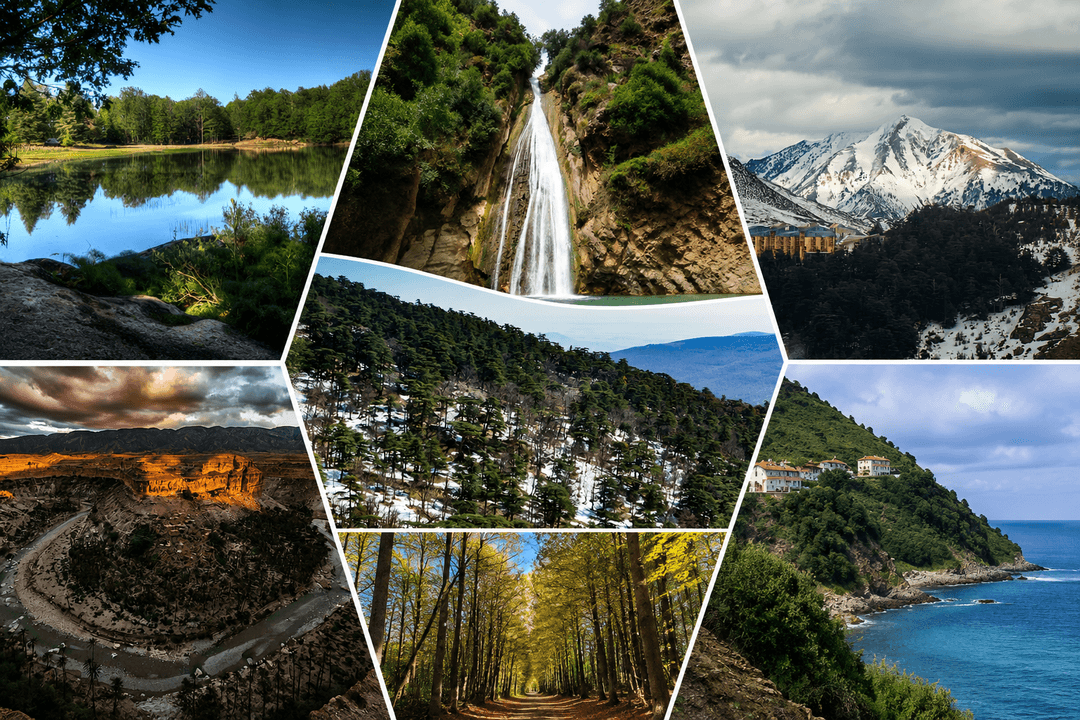 Collage de sept paysages naturels d’Algérie entre lacs, cascades, montagnes, forêts, canyons et côtes sauvages.