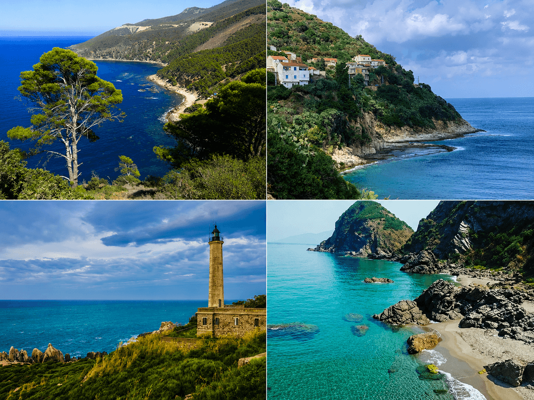 Collage de quatre paysages côtiers sauvages d’Algérie aux eaux cristallines et falaises verdoyantes.