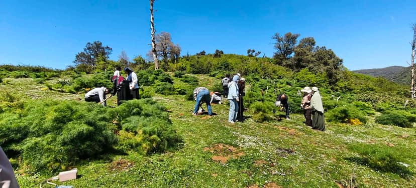 Le Parc National de Chréa