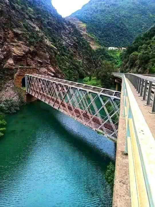 Les Gorges de la Chiffa - 1