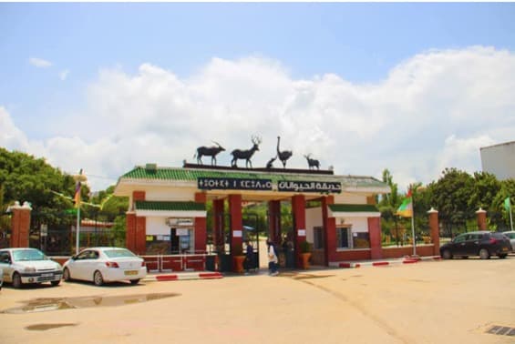 Parc Animalier de Kissir El Aouana - 1