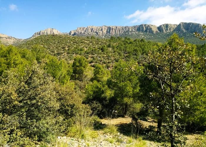 Mont Sidi Rghis - 1