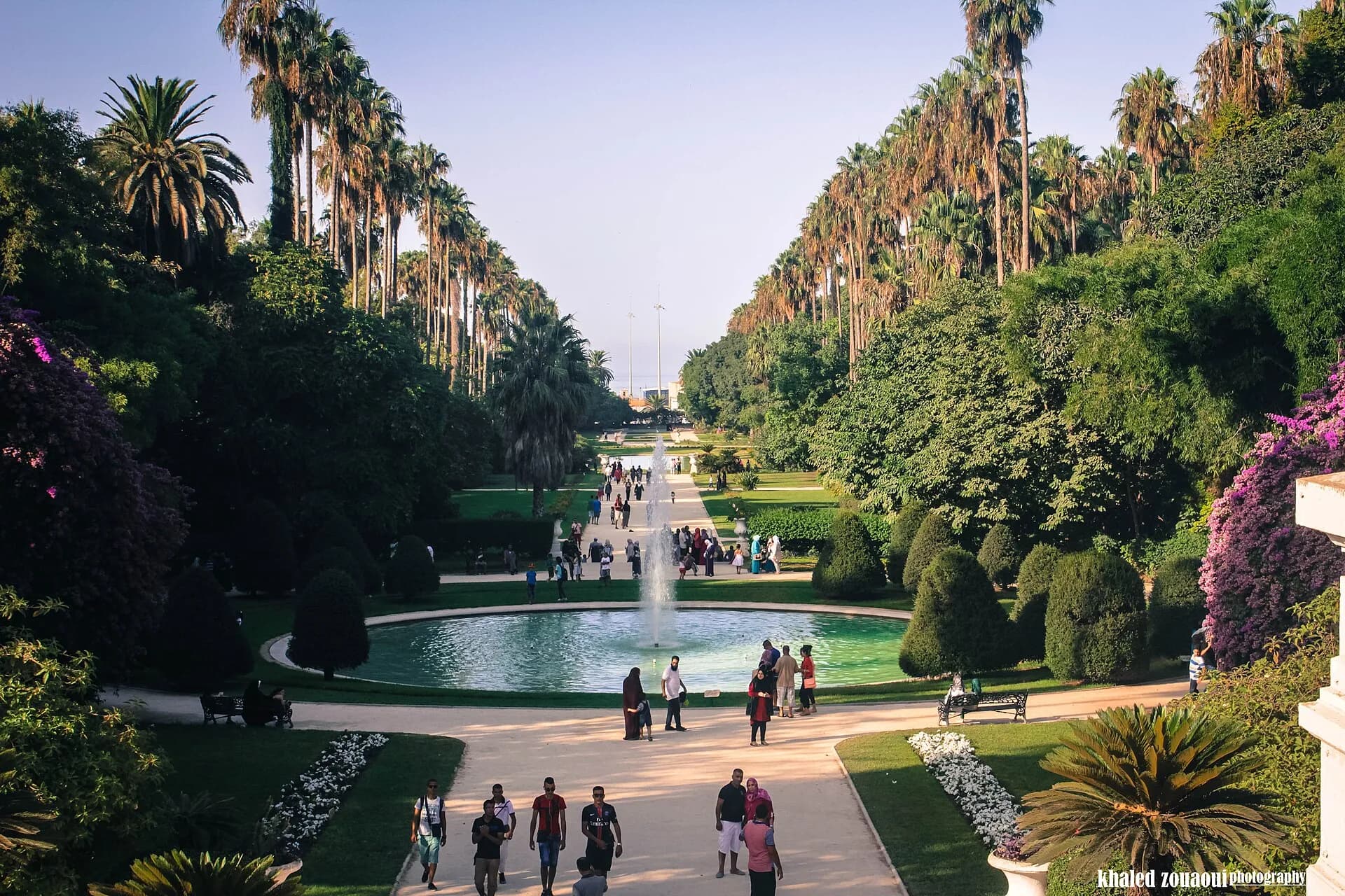 Jardin Botanique du Hamma - 1