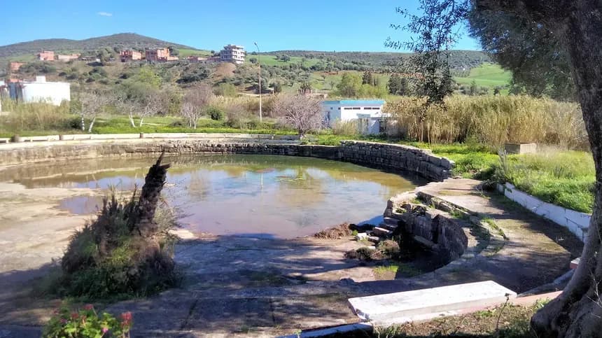 Piscine Romaine de Hammam Bradaa - 1
