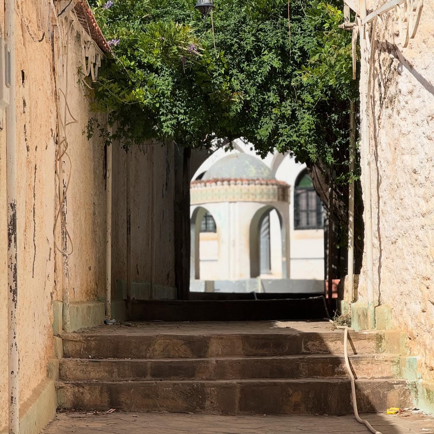 Zaouïa de Sidi Ahmed El Kebir - 1