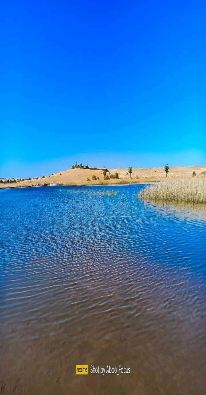 Le Lac de Hassi Ben Abdallah - 1