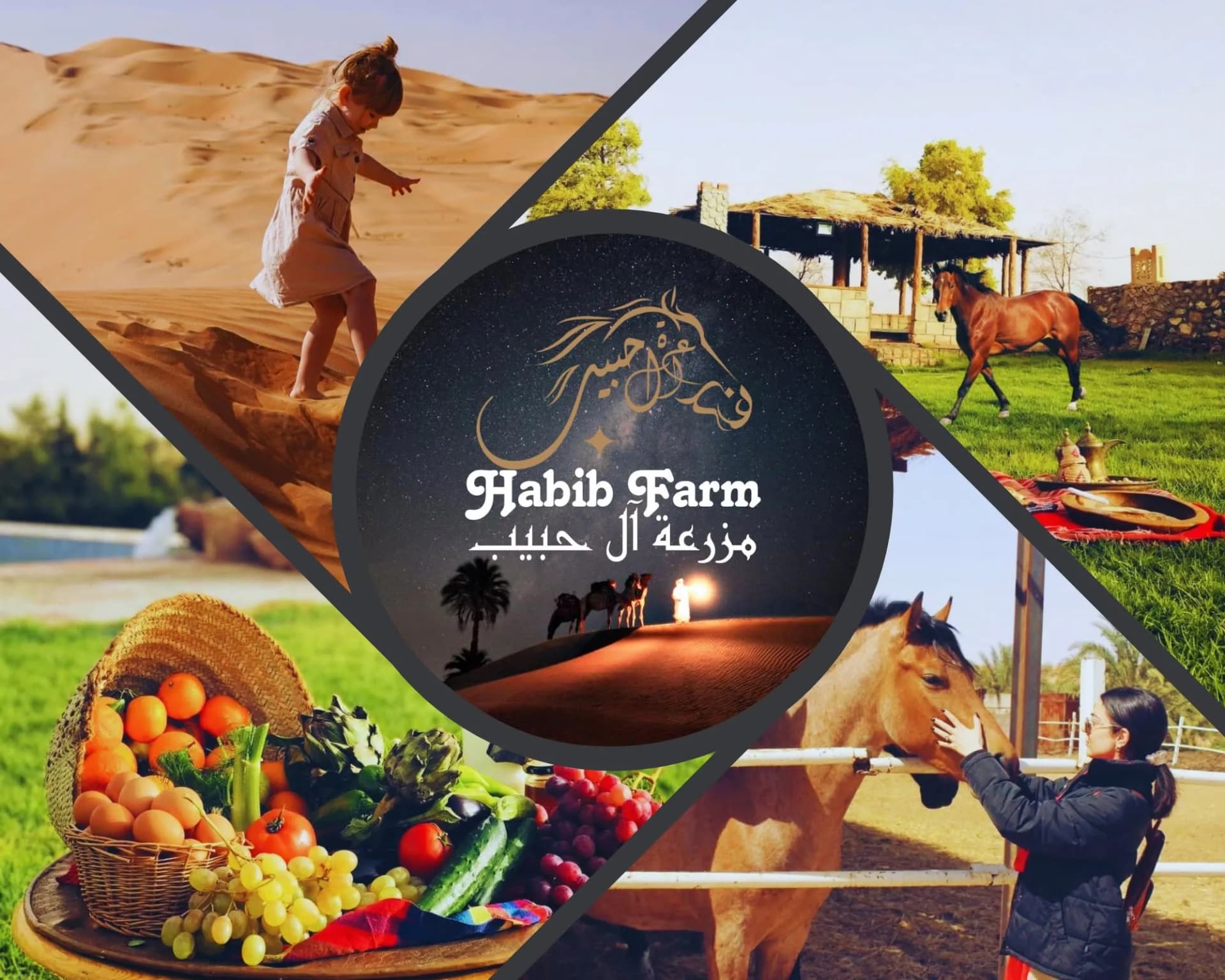 Ferme Habib - 1